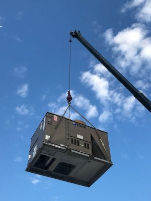 WhatsApp Image 2024-04-18 at 7.39.26 p. m.